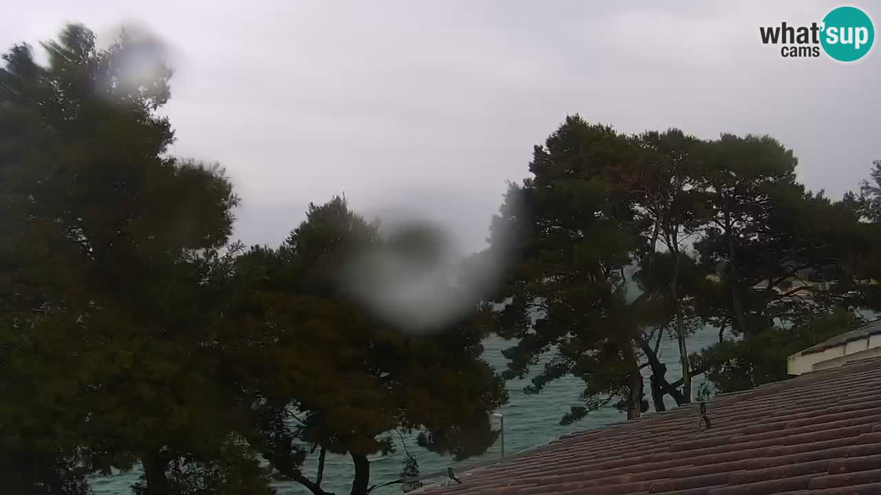 Lumbarda resort Webcam Korčula