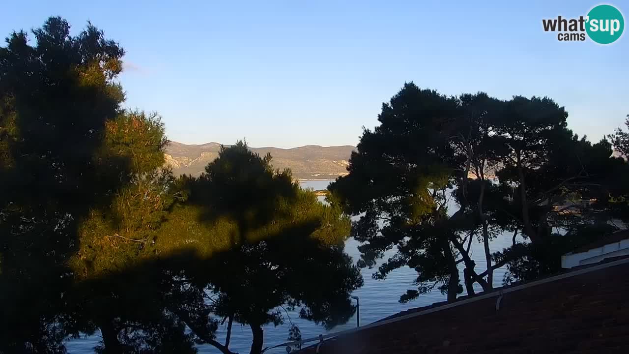 Lumbarda resort Webcam Korčula