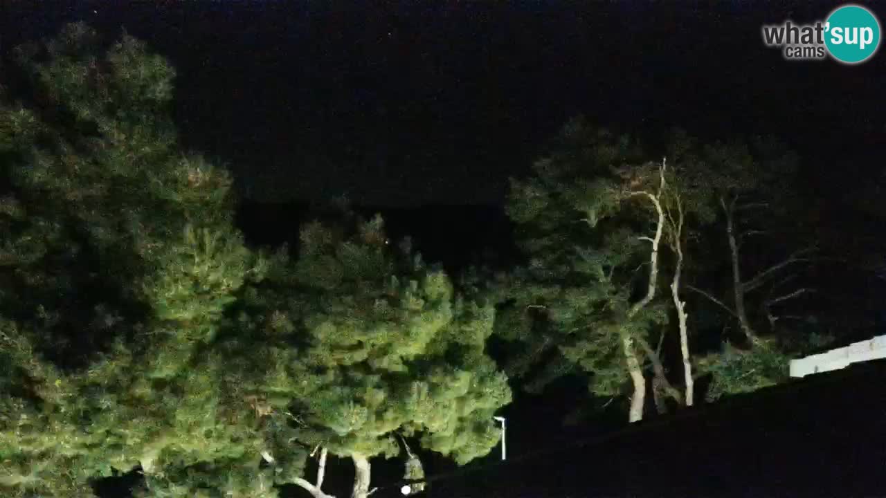 Lumbarda resort – livecam Korčula