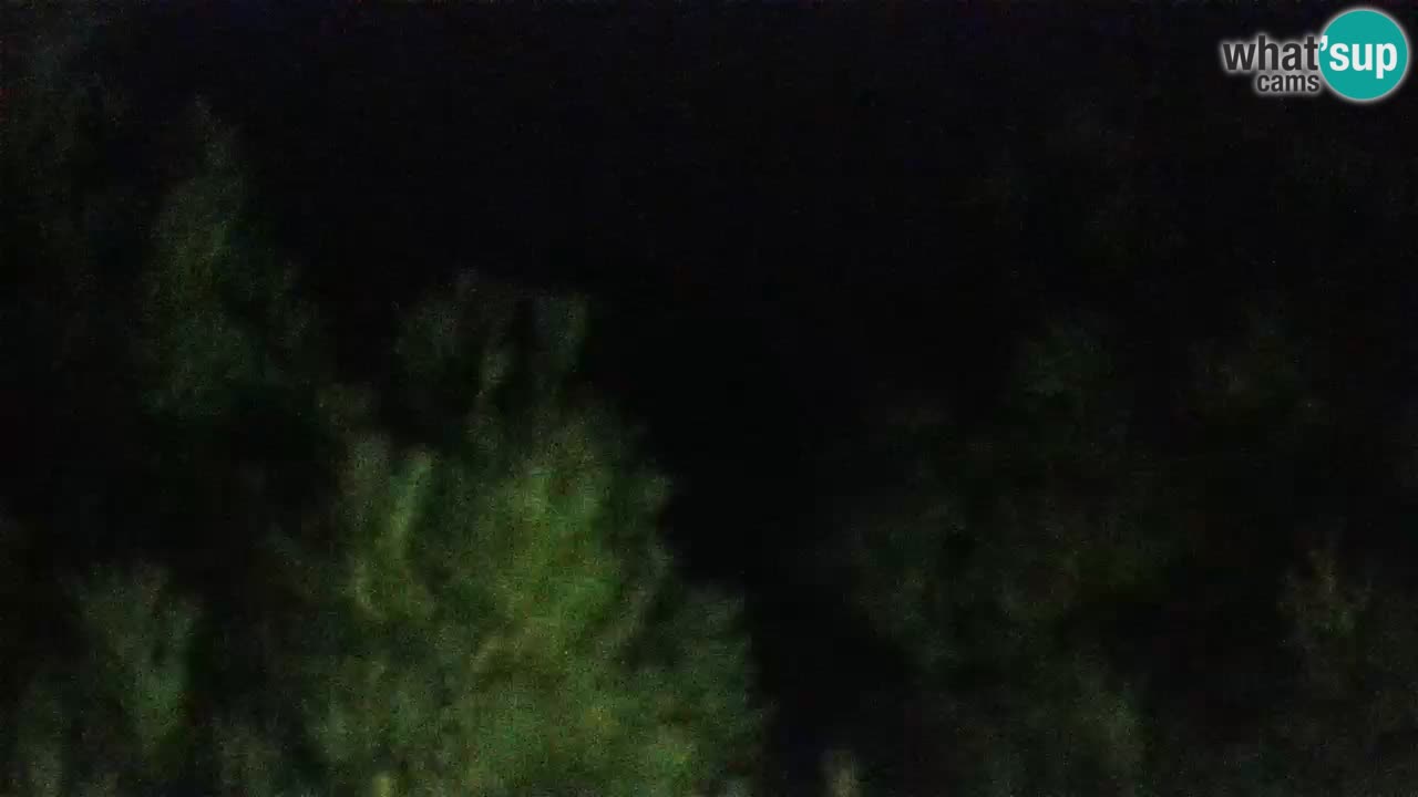 Lumbarda resort – livecam Korčula