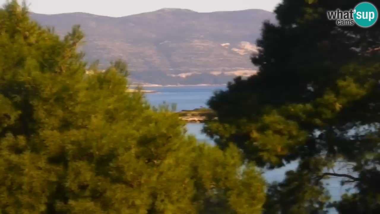 Lumbarda resort – livecam Korčula