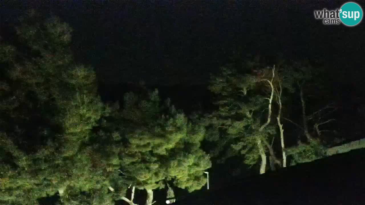 Lumbarda Resort live cam Curzola