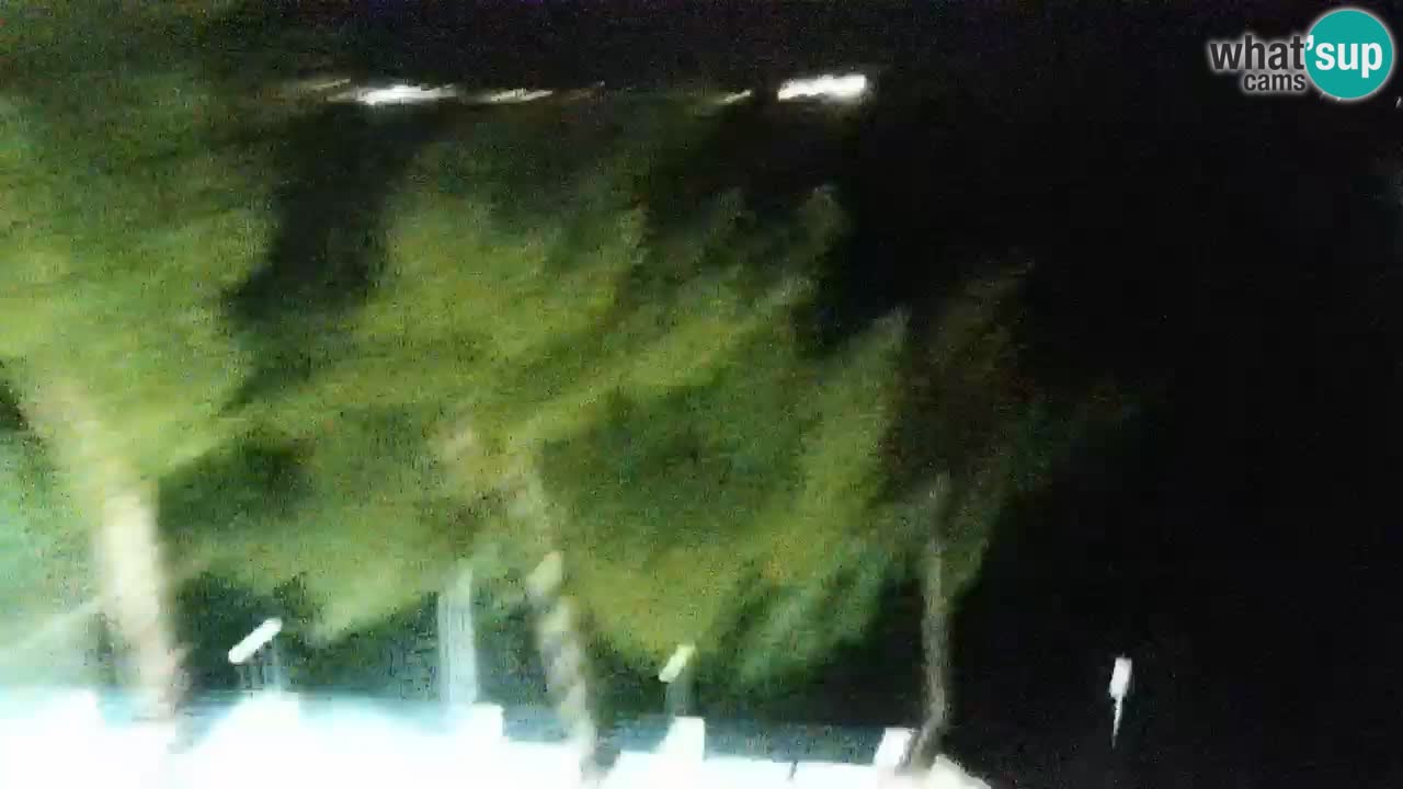 Lumbarda resort Webcam Korčula