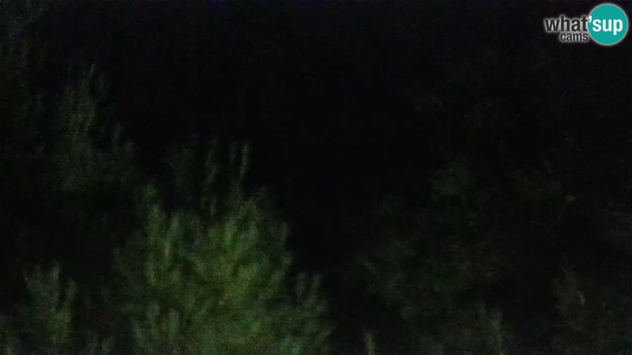 Lumbarda Resort live cam Curzola