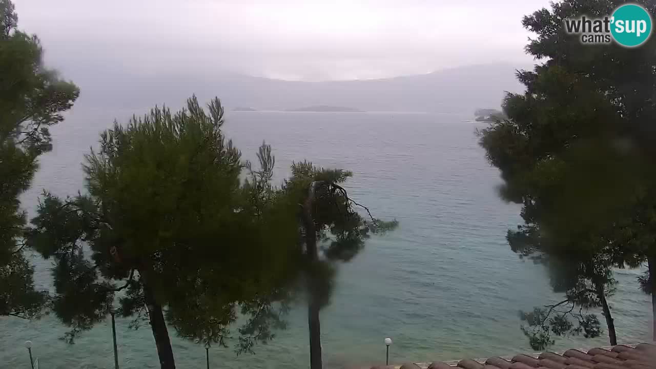 Lumbarda resort Webcam Korčula