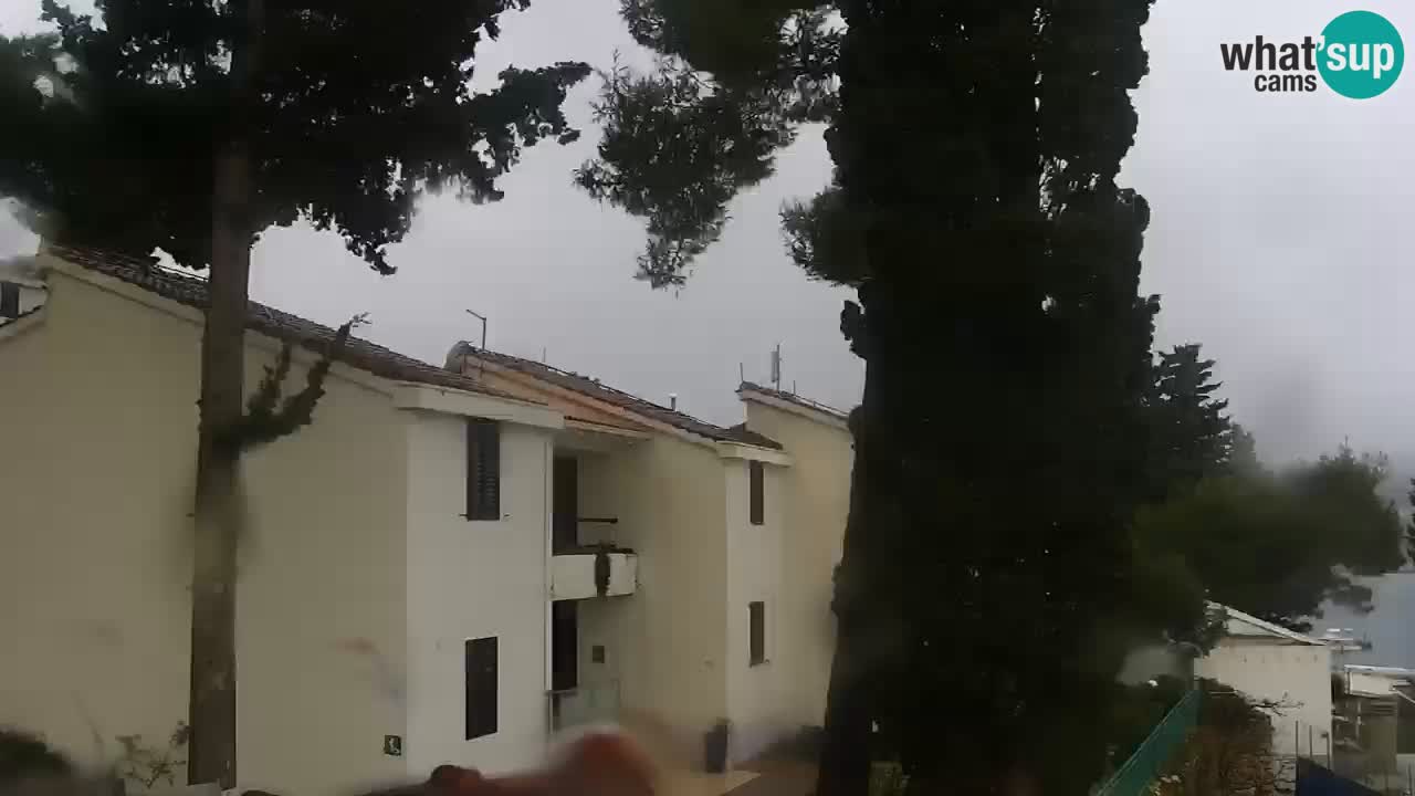 Lumbarda Resort live cam Curzola