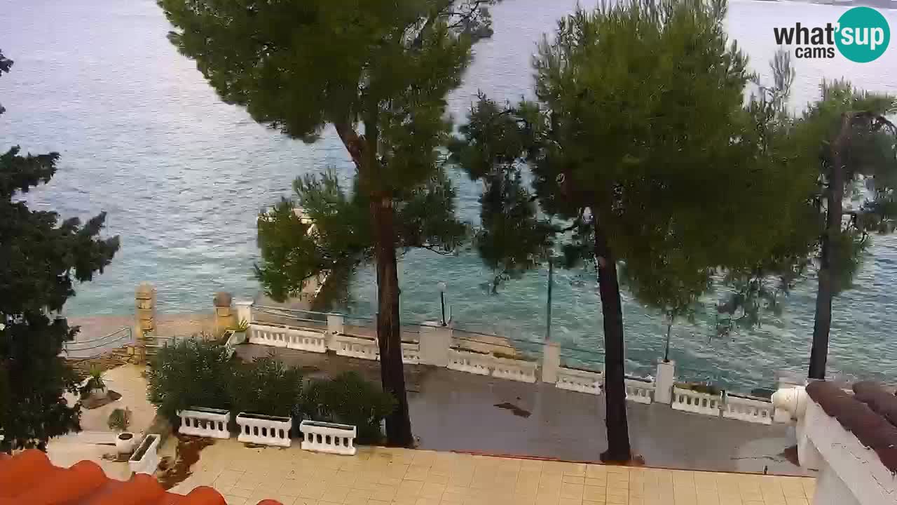 Lumbarda resort Webcam Korčula