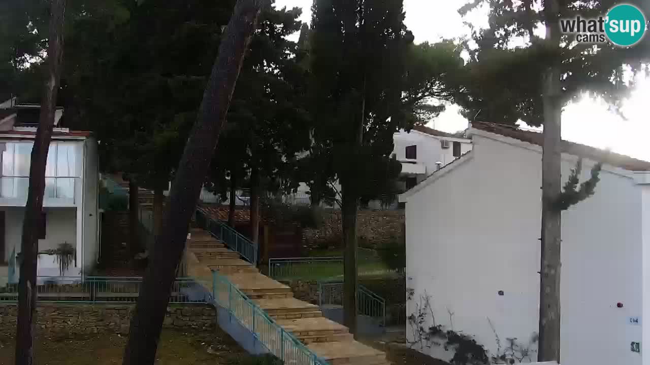 Lumbarda Resort live cam Curzola