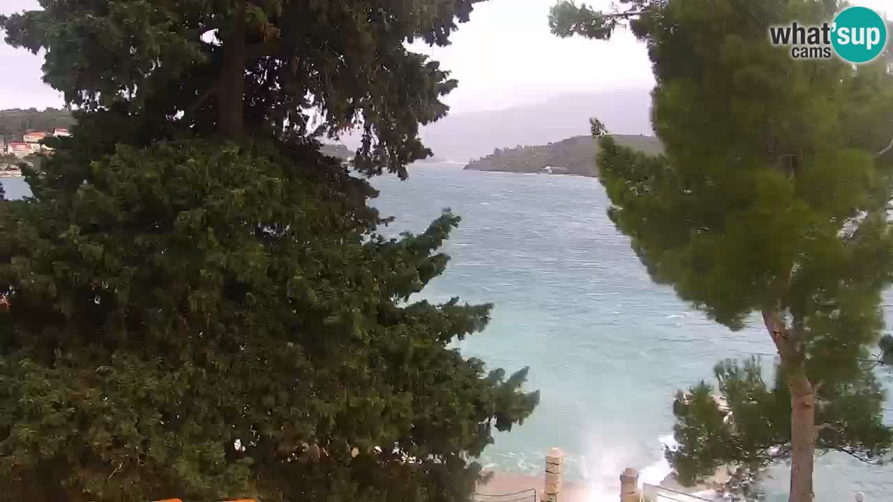 Lumbarda resort Webcam Korčula