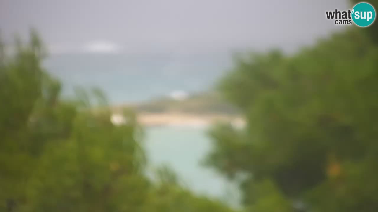 Lumbarda resort Spletna kamera Korčula