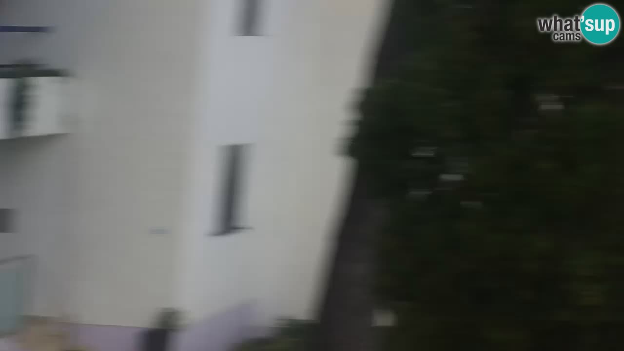 Lumbarda resort Webcam Korčula