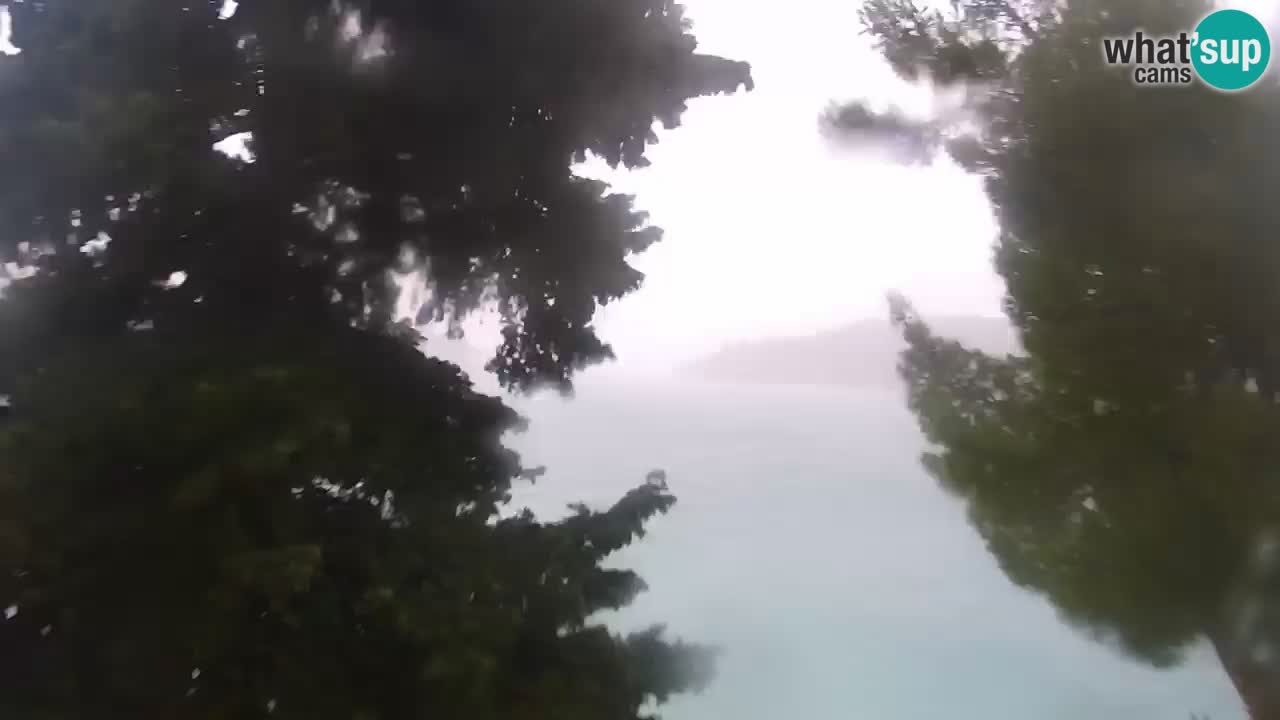 Lumbarda Resort webcam Kurzel