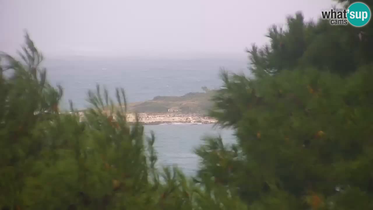 Lumbarda resort Webcam Korčula