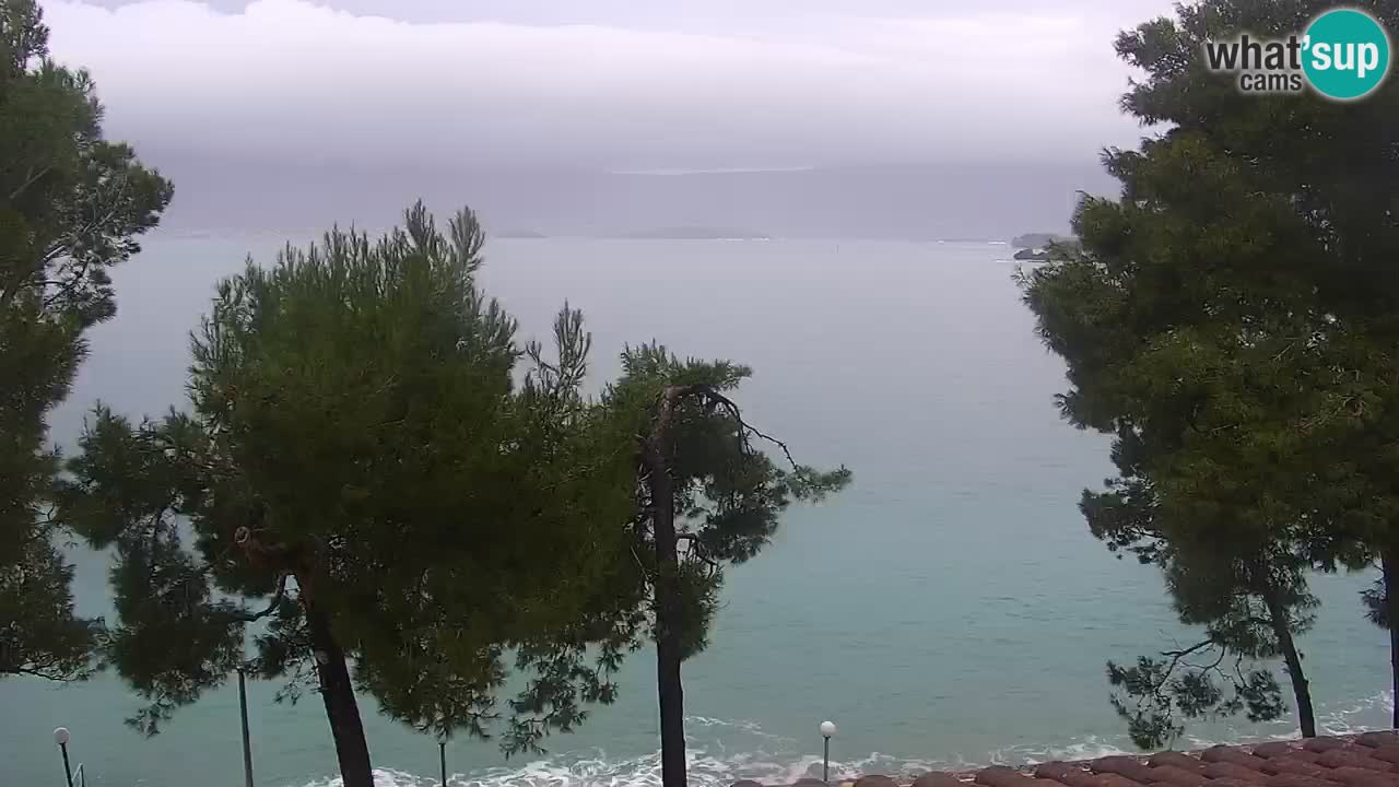 Lumbarda resort Spletna kamera Korčula