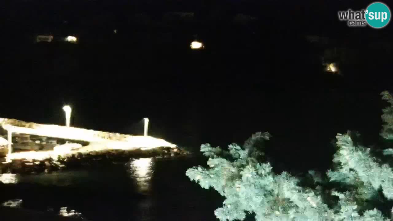 Lumbarda resort Spletna kamera Korčula