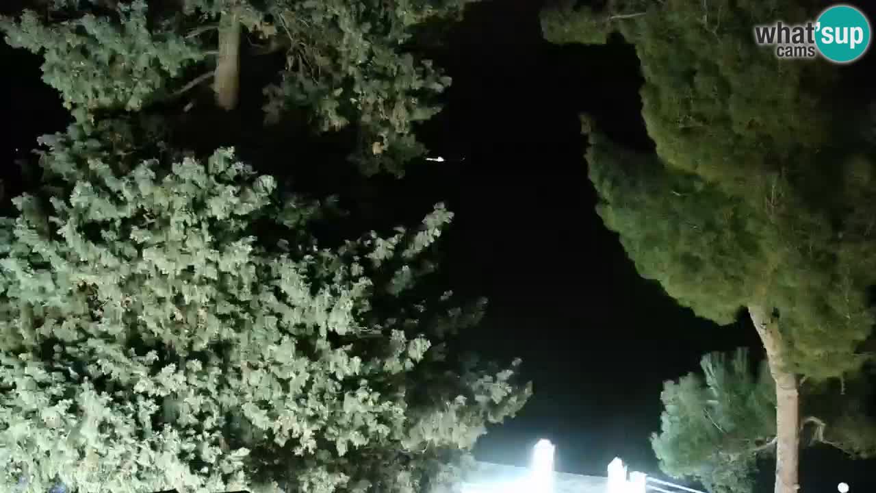 Lumbarda resort Spletna kamera Korčula