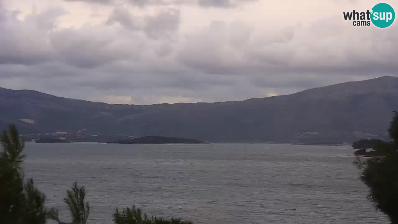 Lumbarda resort Webcam Korčula