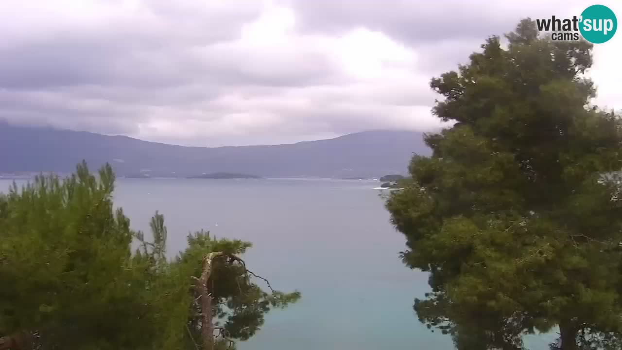 Lumbarda resort – livecam Korčula