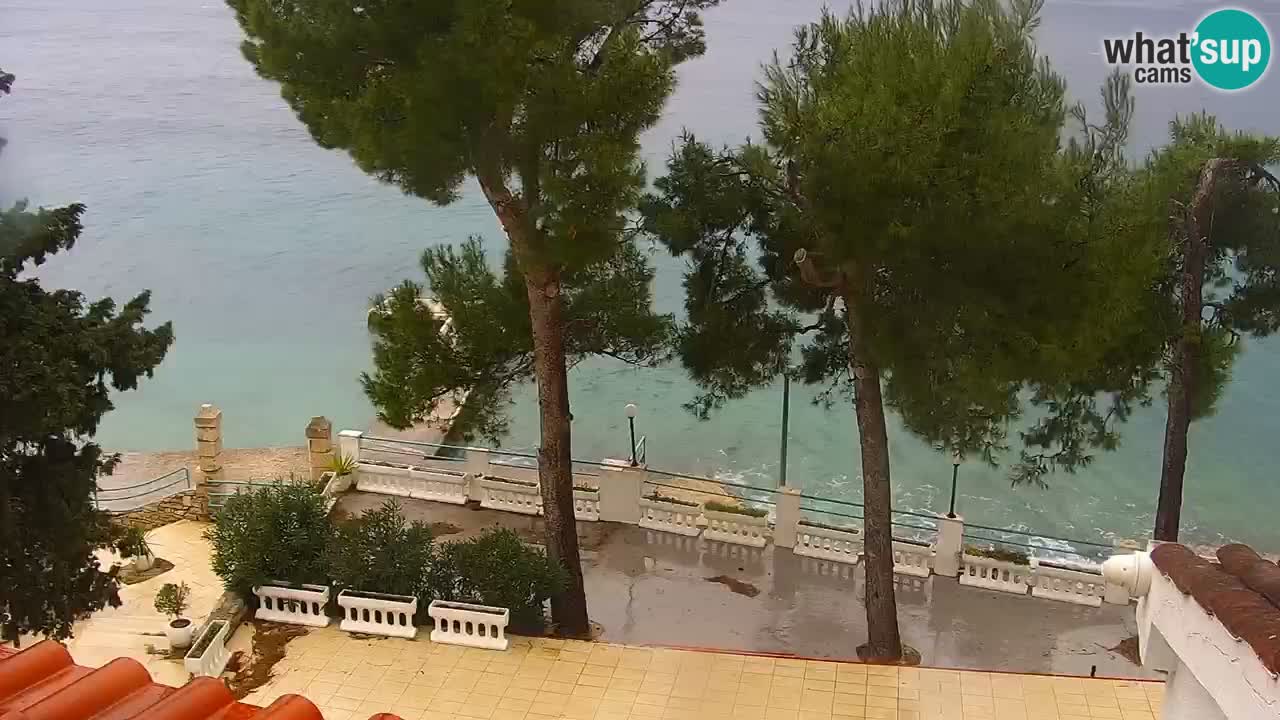 Lumbarda resort Webcam Korčula