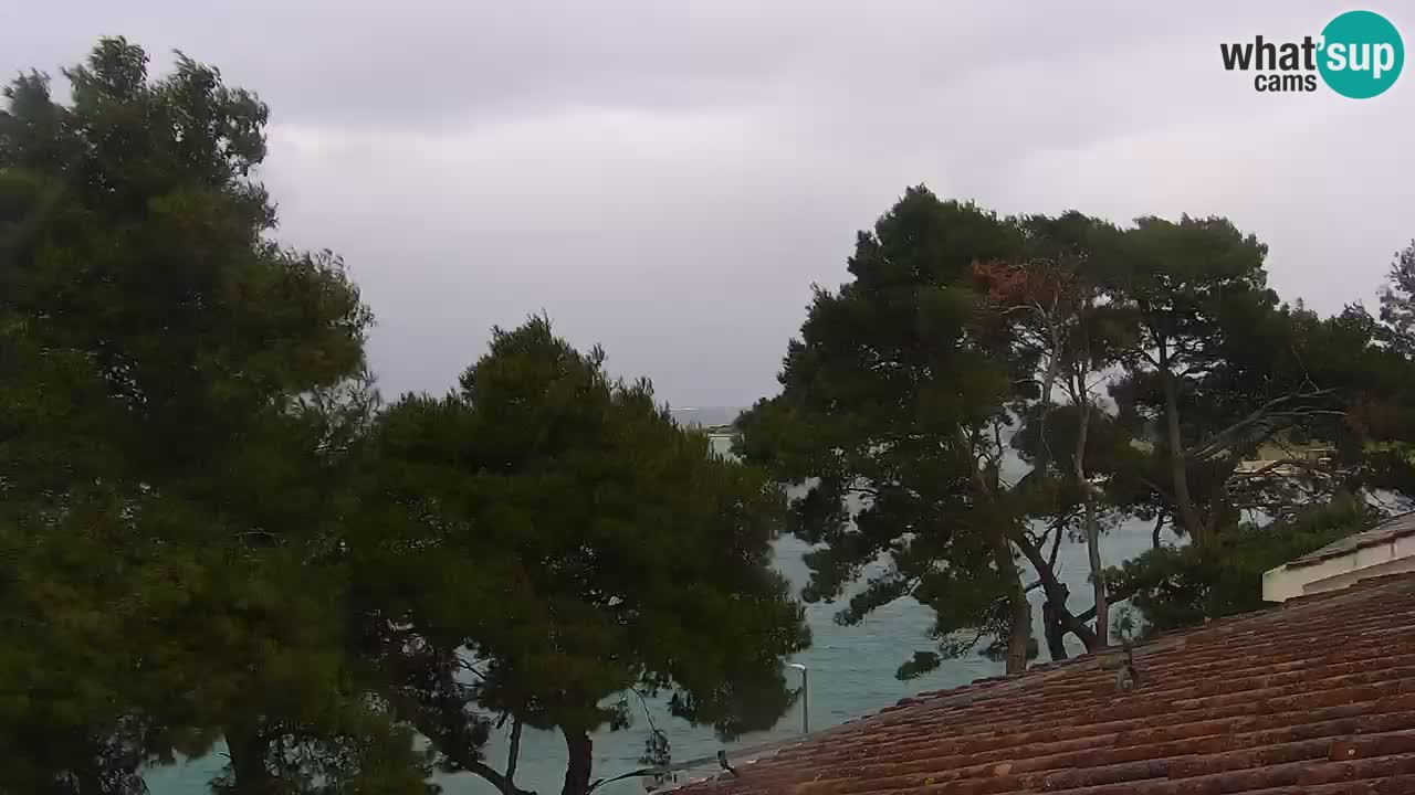 Lumbarda resort Webcam Korčula