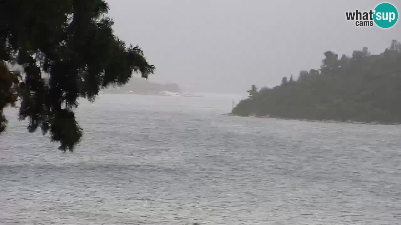 Lumbarda resort – livecam Korčula