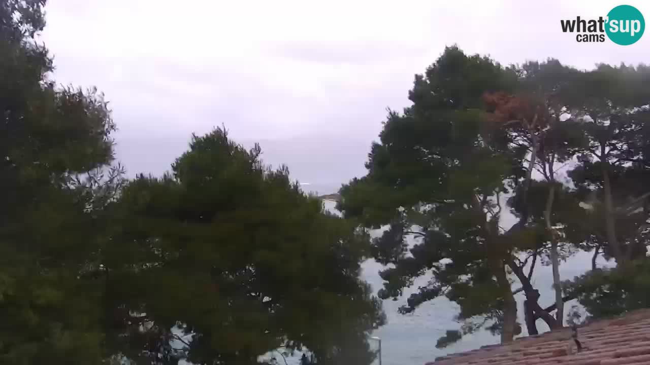 Lumbarda resort Webcam Korčula