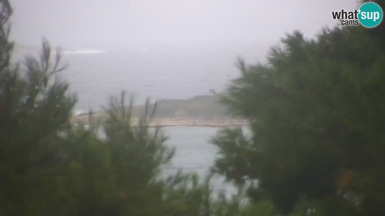 Lumbarda resort Webcam Korčula