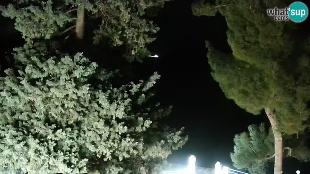 Lumbarda resort Webcam Korčula