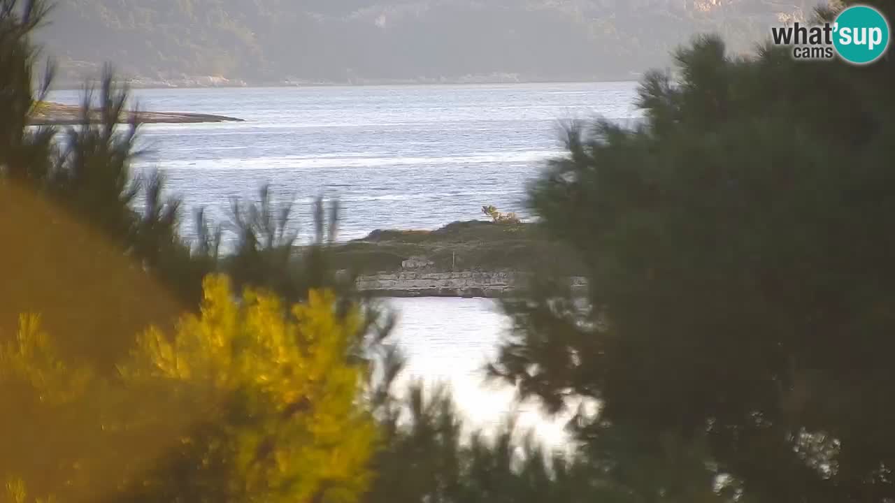 Lumbarda resort Spletna kamera Korčula