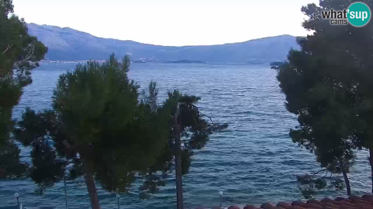 Lumbarda Resort camera en vivo Korčula