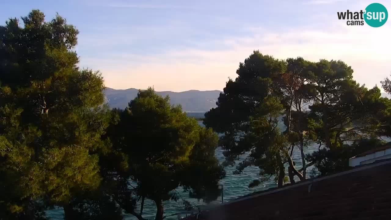 Lumbarda Resort live cam Curzola