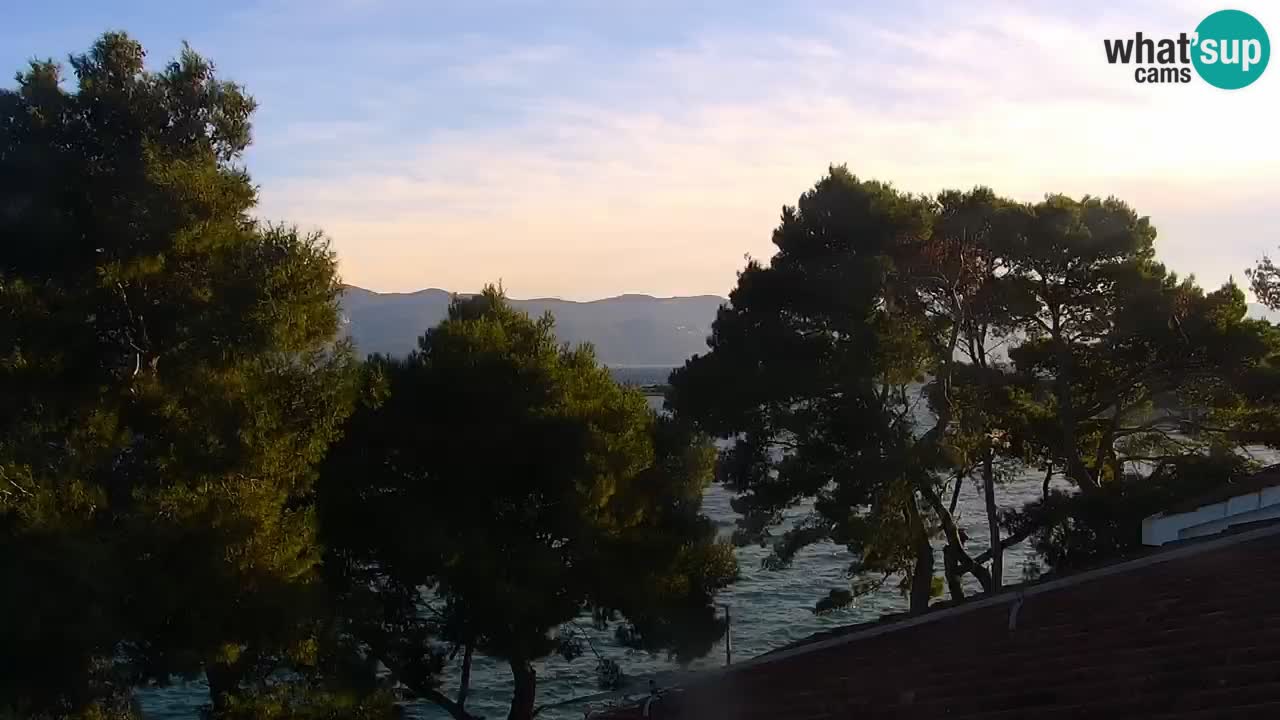 Lumbarda resort Spletna kamera Korčula