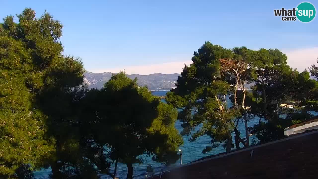 Lumbarda resort – livecam Korčula