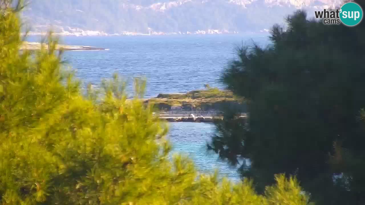 Lumbarda resort Web Kamera Korčula