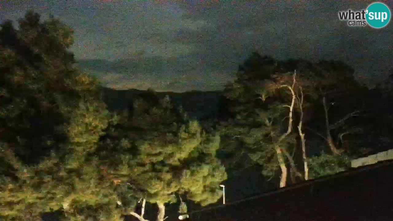 Lumbarda resort Web Kamera Korčula