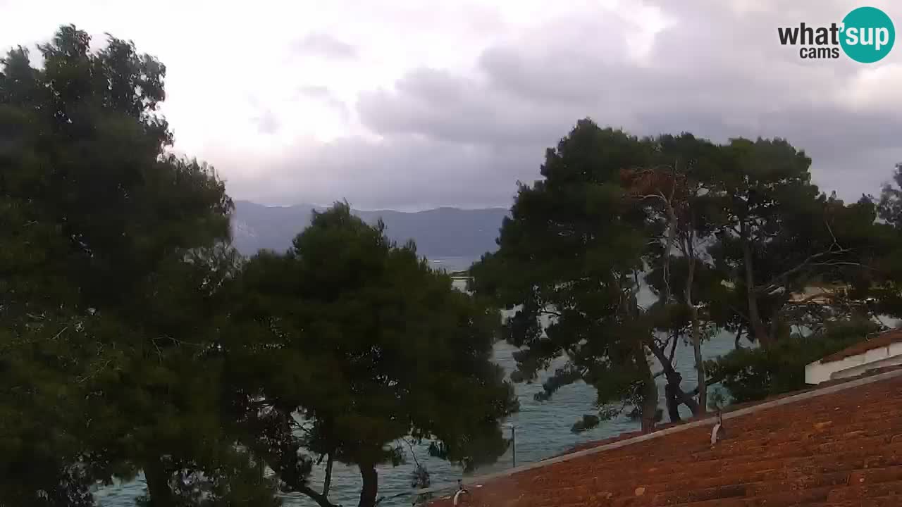Lumbarda resort Spletna kamera Korčula