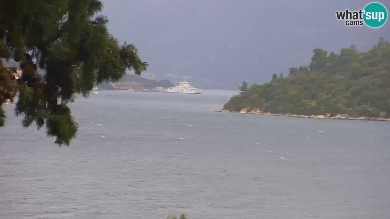 Lumbarda resort Webcam Korčula