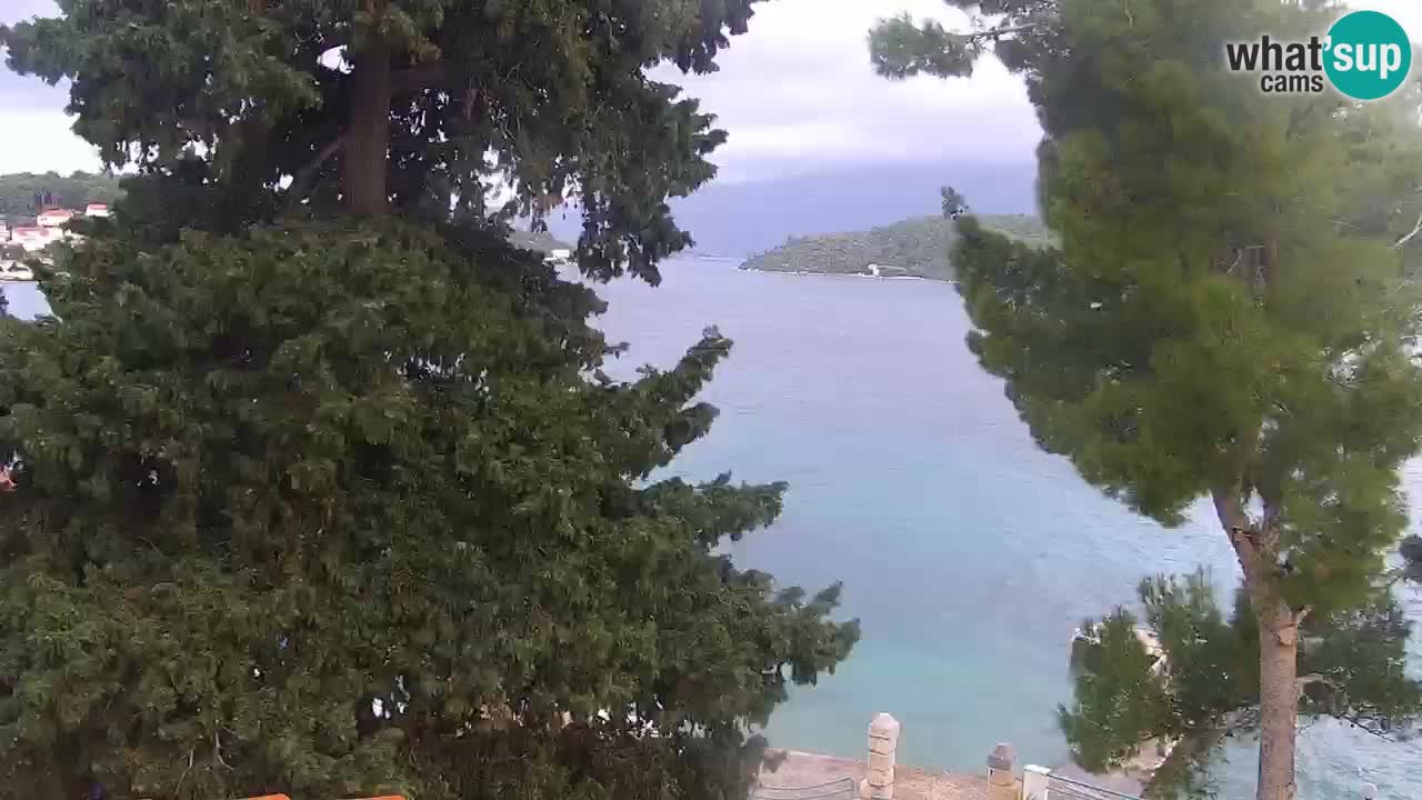 Lumbarda resort Spletna kamera Korčula