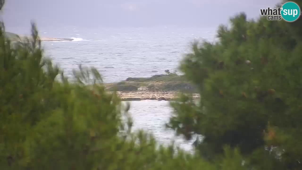 Lumbarda resort Spletna kamera Korčula