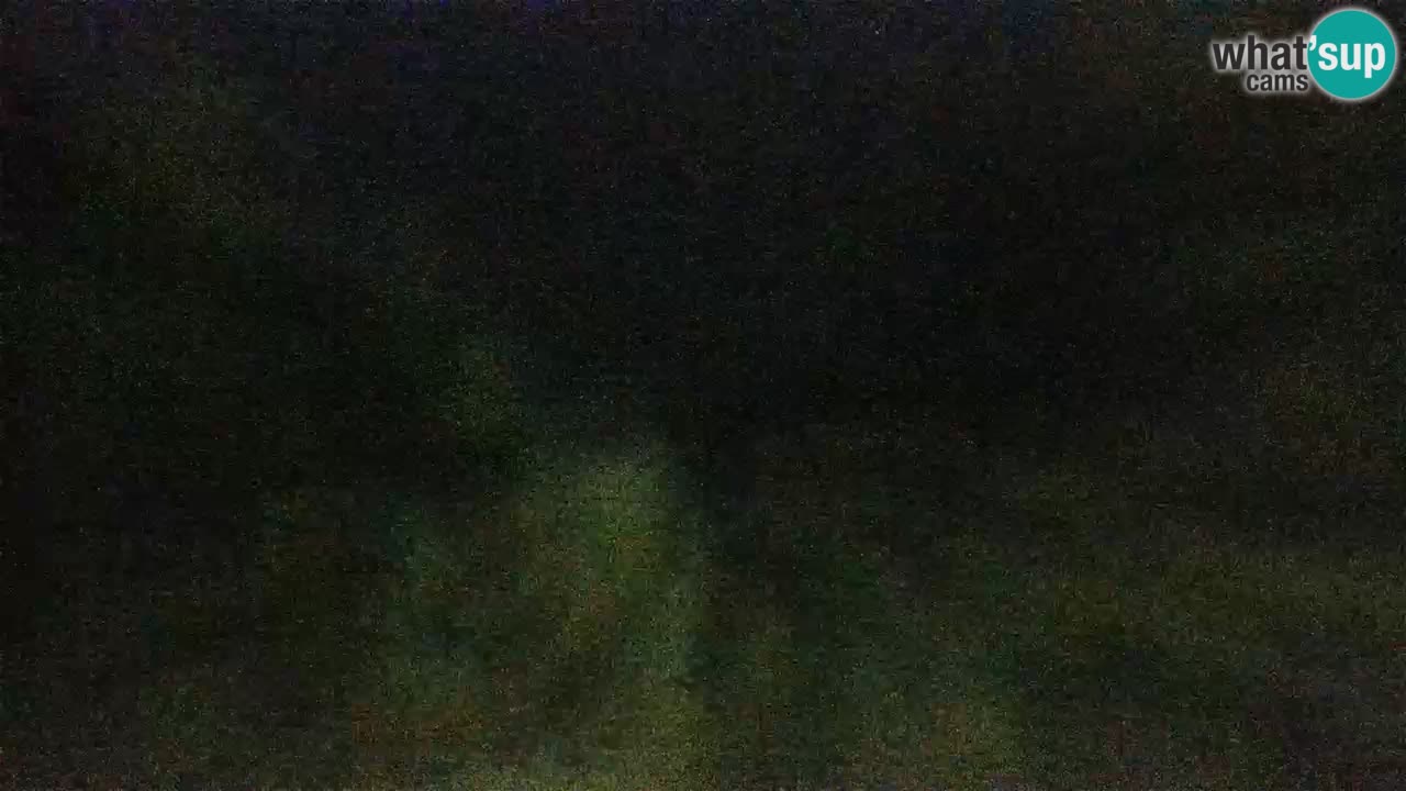 Lumbarda resort Webcam Korčula