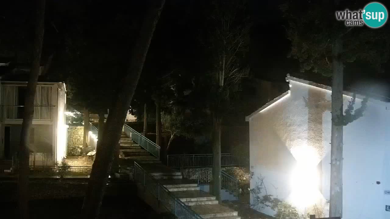 Lumbarda resort Spletna kamera Korčula