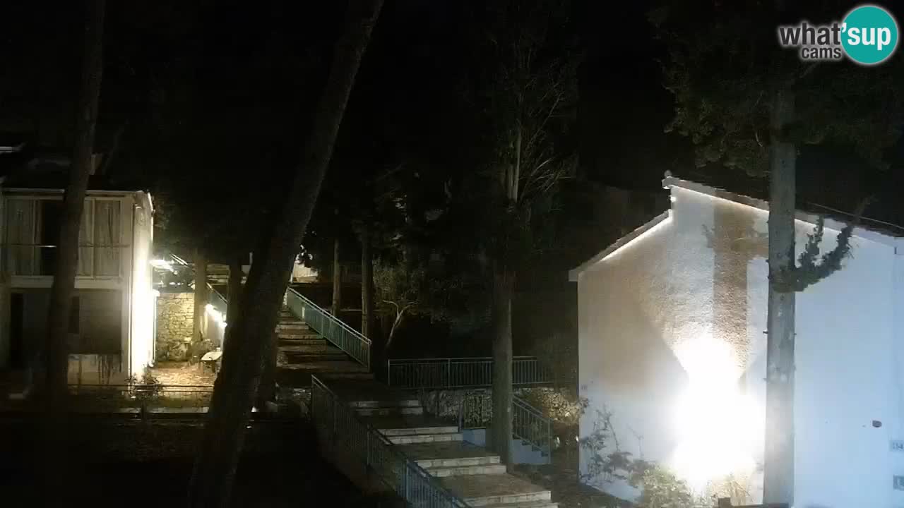 Lumbarda resort – livecam Korčula