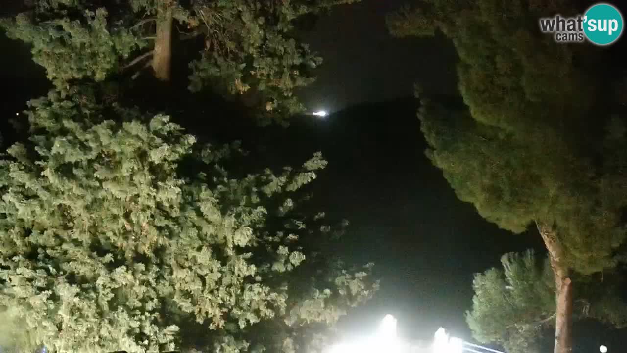 Lumbarda resort Webcam Korčula