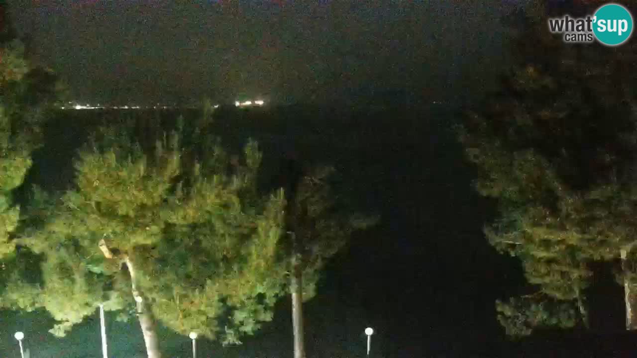 Lumbarda Resort webcam Kurzel