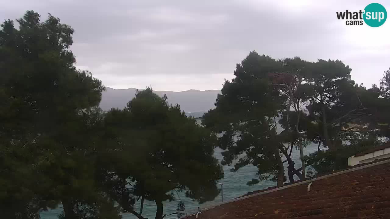 Lumbarda resort Web Kamera Korčula