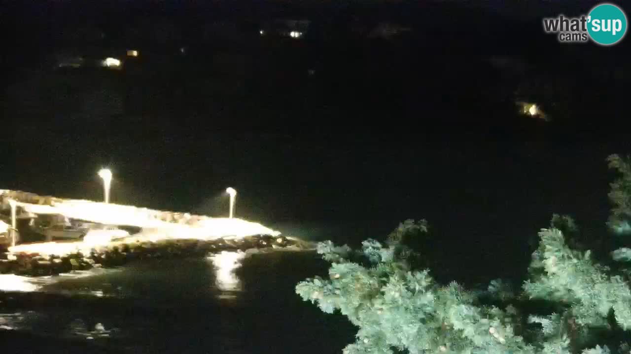 Lumbarda Resort camera en vivo Korčula