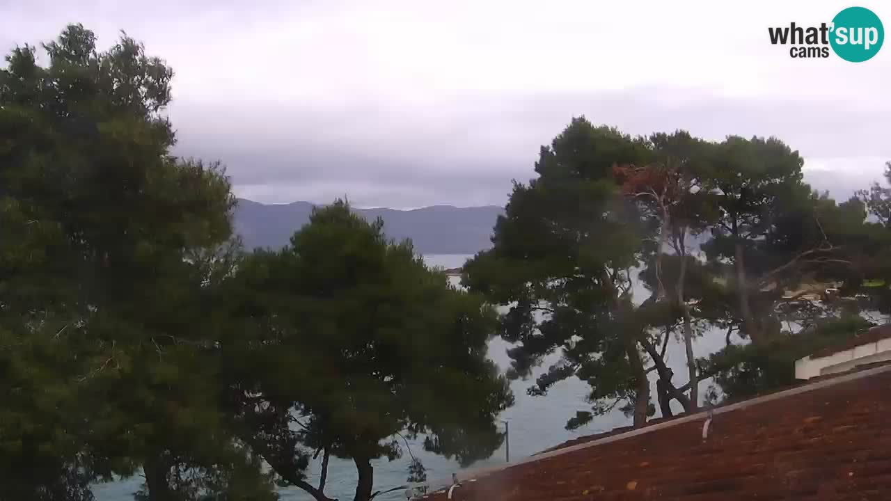 Lumbarda resort Web Kamera Korčula