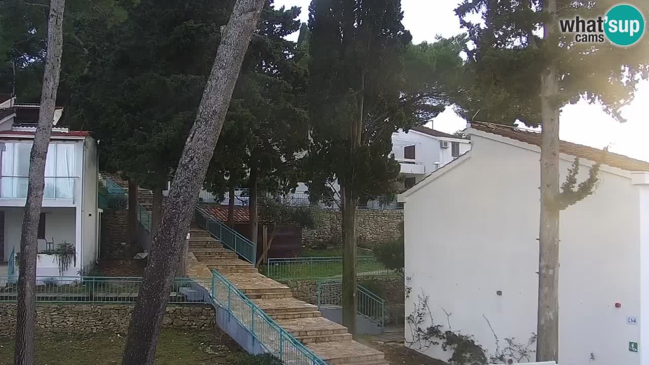Lumbarda resort – livecam Korčula