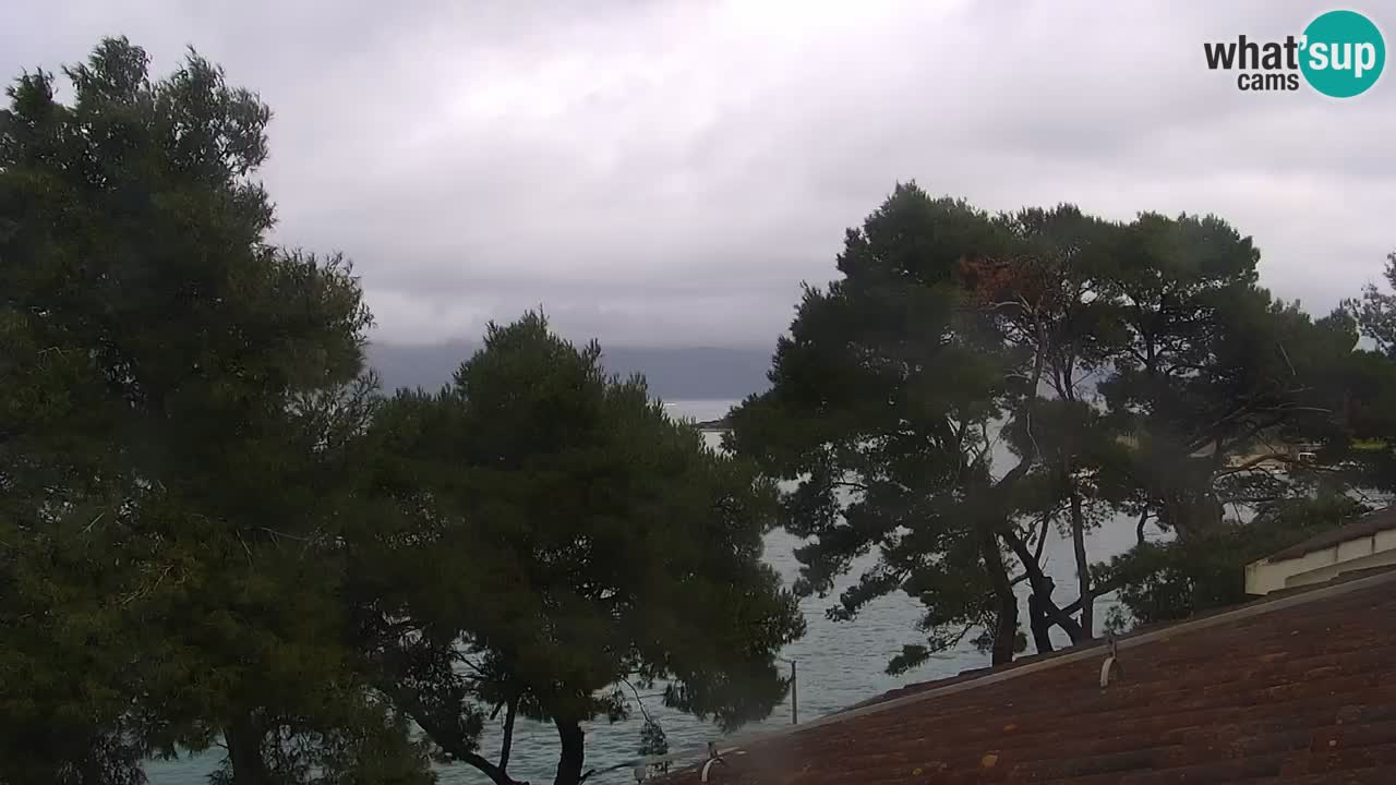 Lumbarda resort Spletna kamera Korčula
