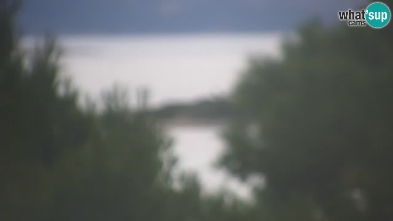 Lumbarda Resort webcam Kurzel